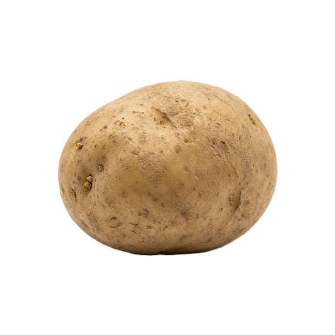 Aardappel
