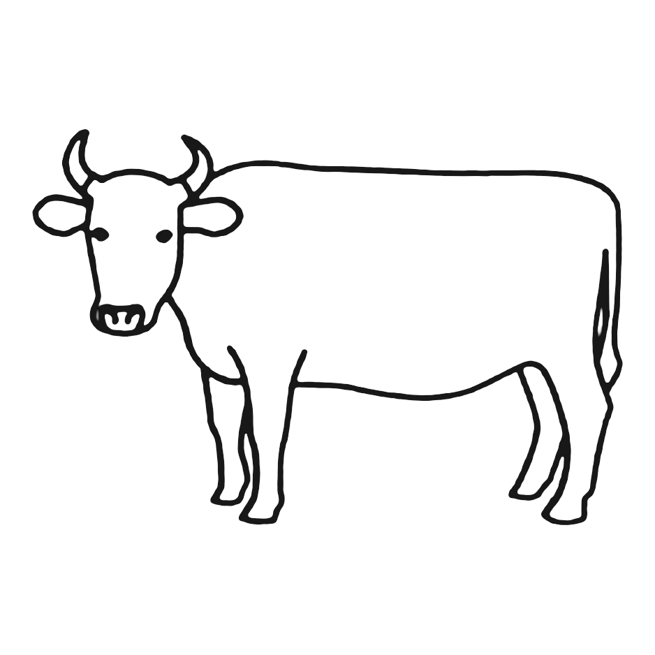 koe in lijntekening