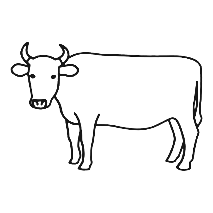 Koe in lijntekening