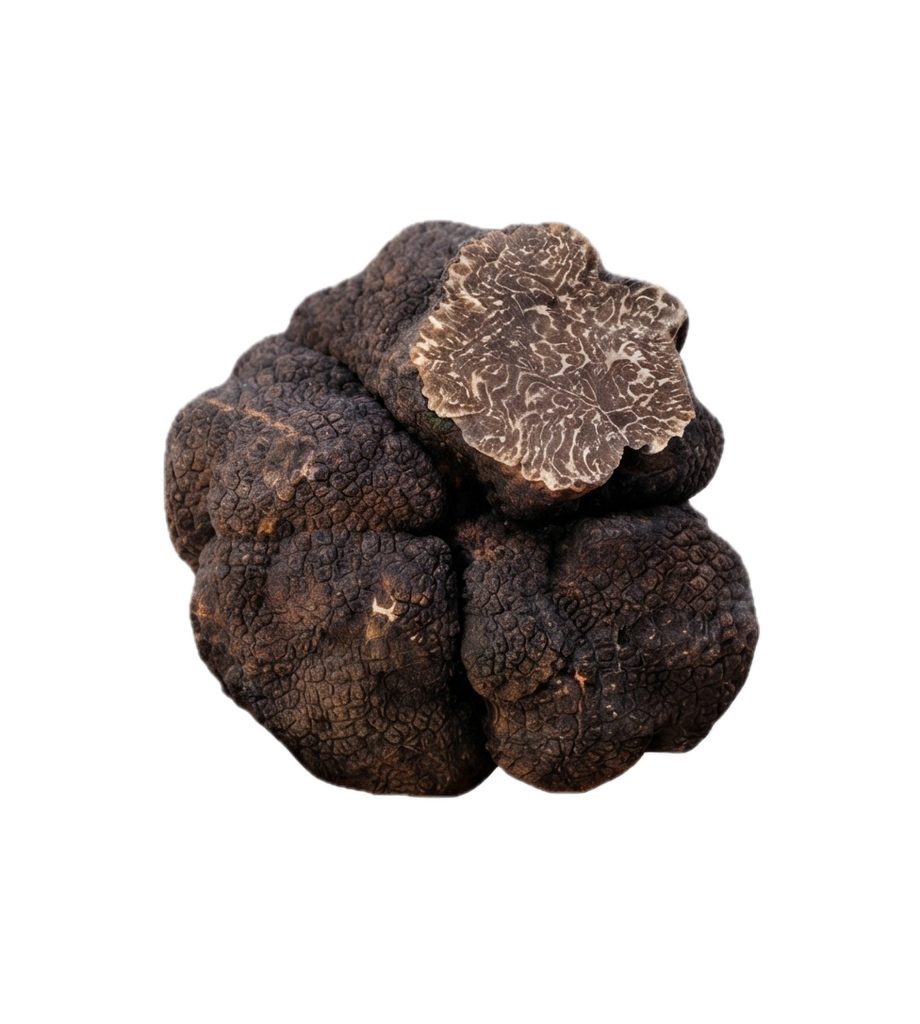 [KEL-TRU-BRU-FRESH] Frische schwarze Wintertrüffel — Tuber brumale