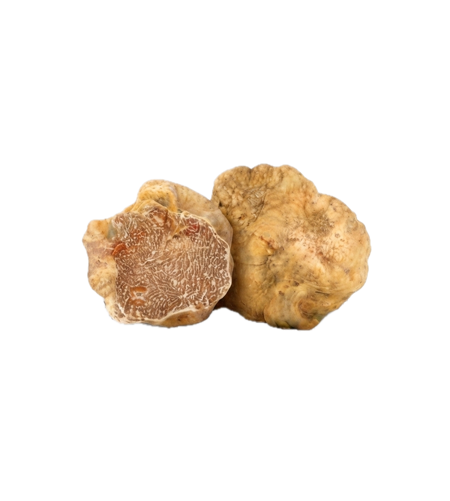 [KEL-TRU-MAG-FRESH] Tartufo bianco fresco — Tuber magnatum Pico