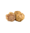 Verse Witte Truffel – Tuber magnatum Pico
