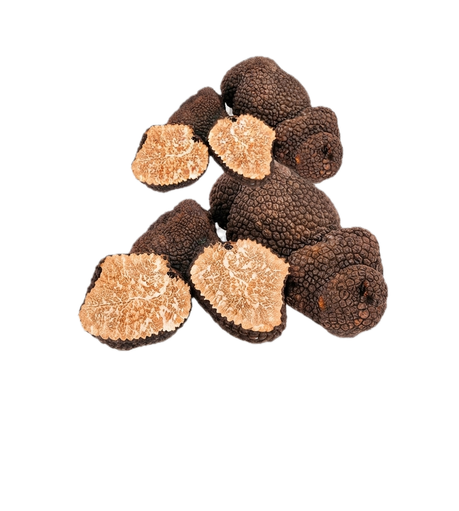 [KEL-TRU-MEL-FRESH] Tartufo nero invernale fresco — Tuber melanosporum