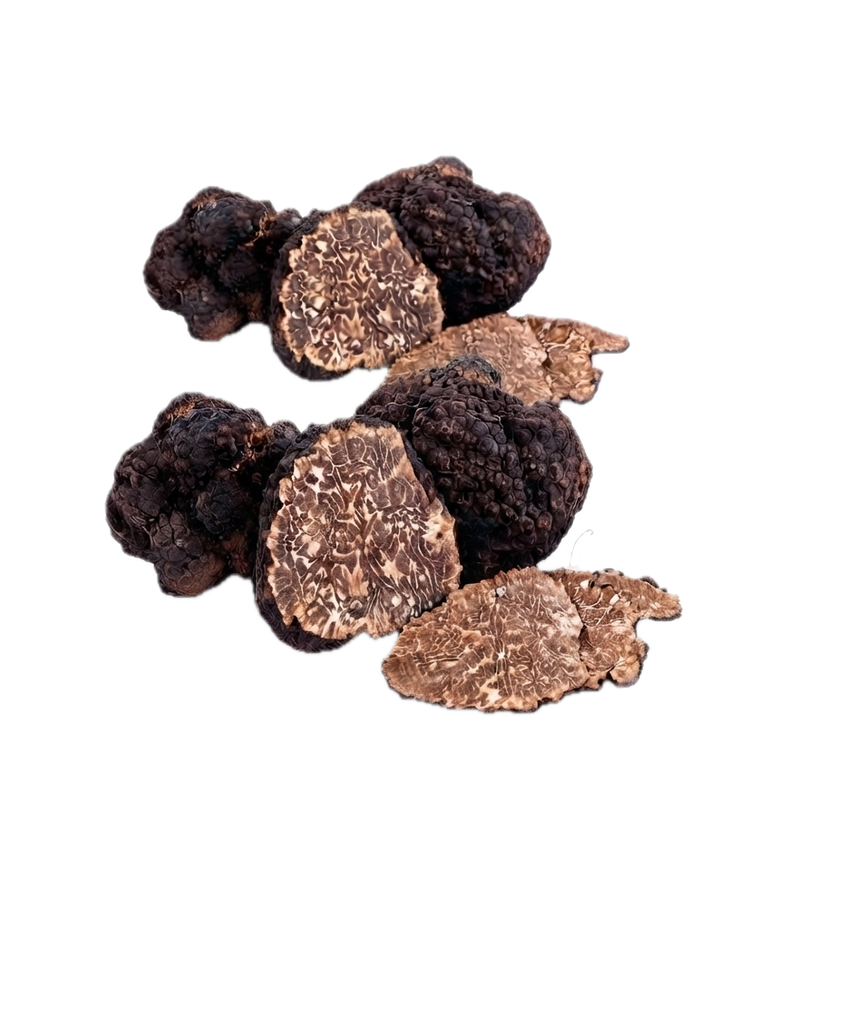 [TRU-UNC-VAR] Frische Herbsttrüffel - Tuber uncinatum